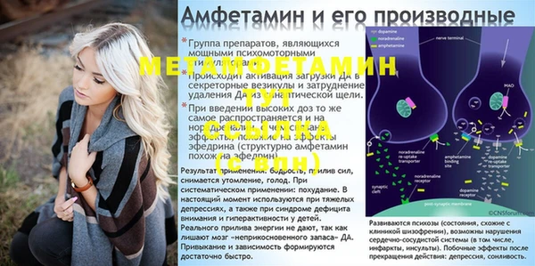 ПСИЛОЦИБИНОВЫЕ ГРИБЫ Алексеевка
