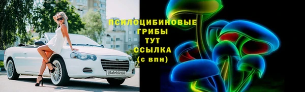 крисы Осташков